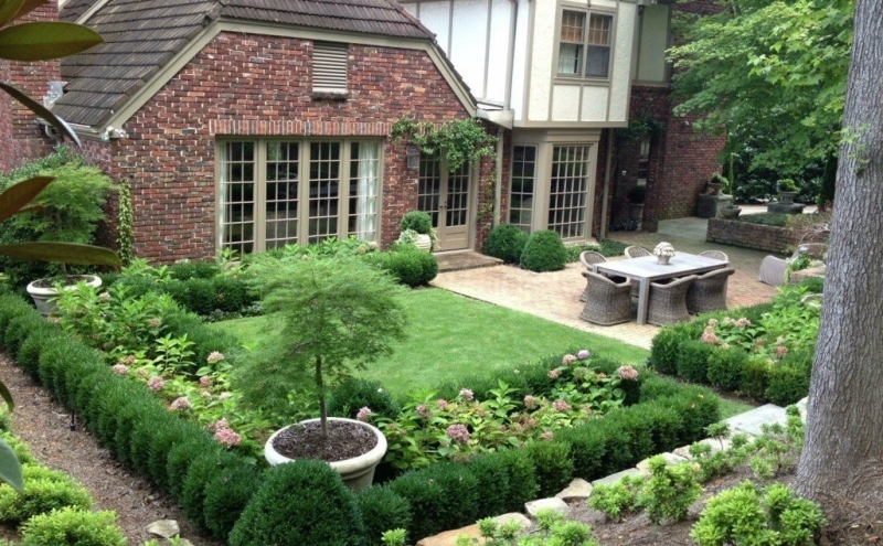 Лучшие тенелюбивые растения для сада: названия и особенности