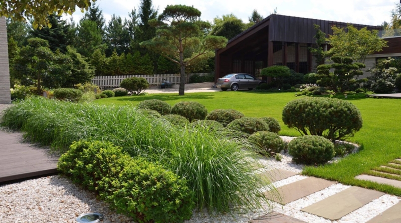 Лучшие тенелюбивые растения для сада: названия и особенности