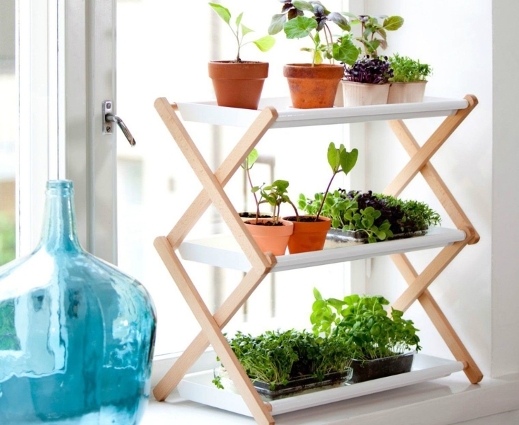 Зеленый оазис на кухне: топ идей кухонных растений и их преимущества