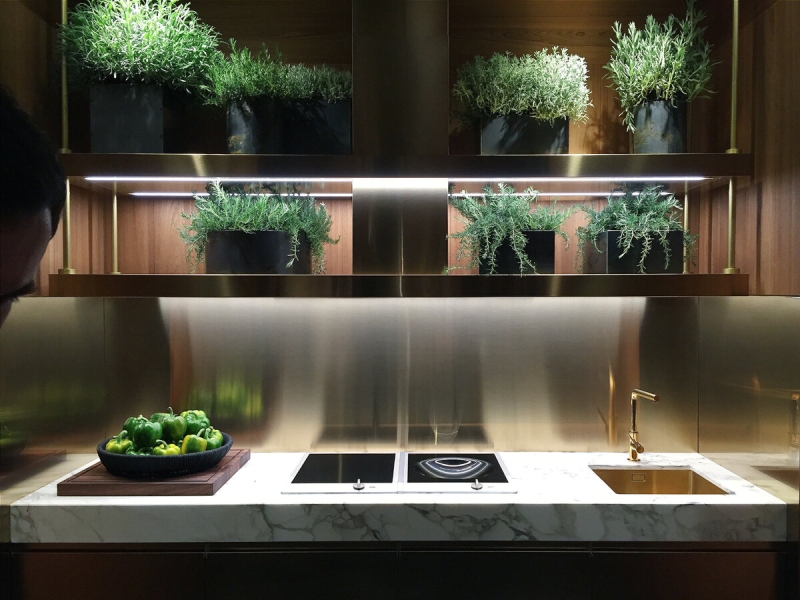 Зеленый оазис на кухне: топ идей кухонных растений и их преимущества