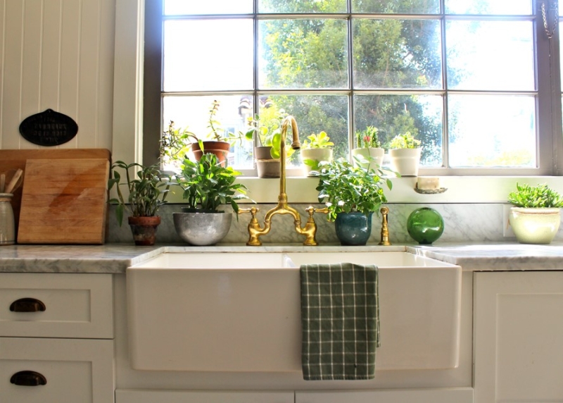Зеленый оазис на кухне: топ идей кухонных растений и их преимущества