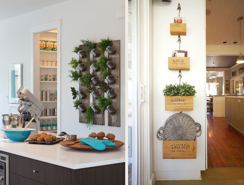 Зеленый оазис на кухне: топ идей кухонных растений и их преимущества