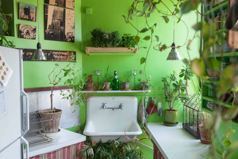 Зеленый оазис на кухне: топ идей кухонных растений и их преимущества