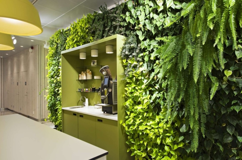 Зеленый оазис на кухне: топ идей кухонных растений и их преимущества