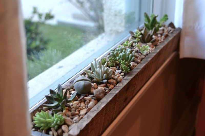 Зеленый оазис на кухне: топ идей кухонных растений и их преимущества