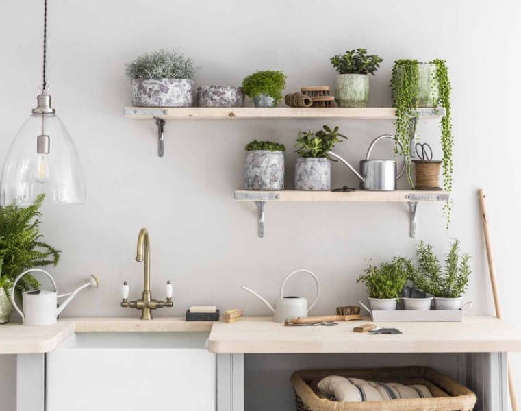 Зеленый оазис на кухне: топ идей кухонных растений и их преимущества