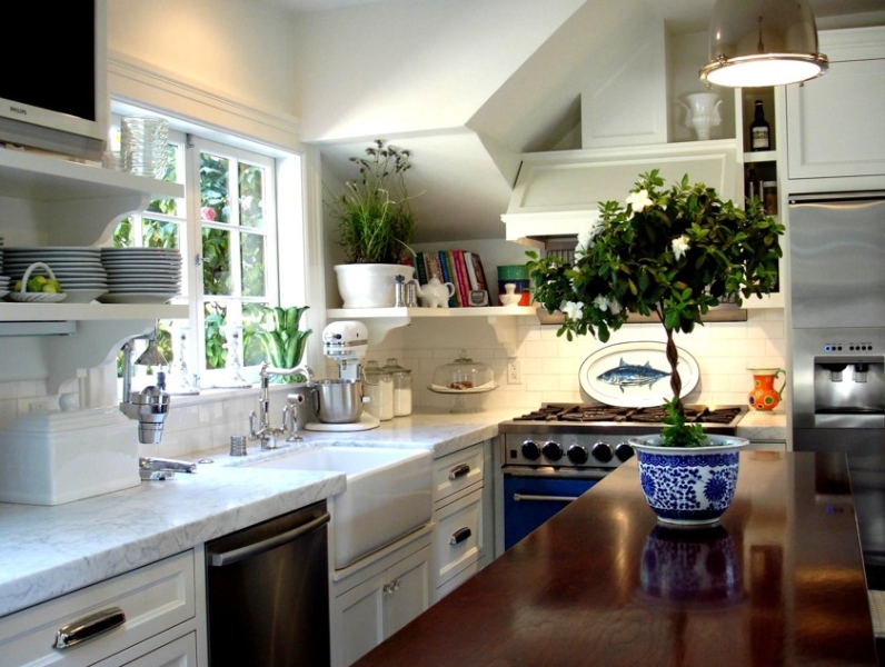 Зеленый оазис на кухне: топ идей кухонных растений и их преимущества