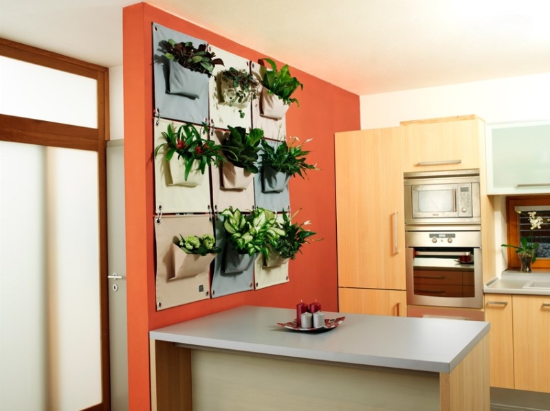 Зеленый оазис на кухне: топ идей кухонных растений и их преимущества