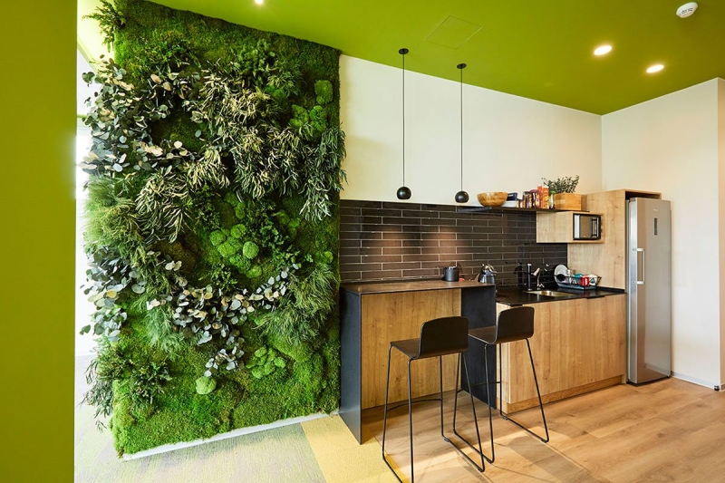 Зеленый оазис на кухне: топ идей кухонных растений и их преимущества