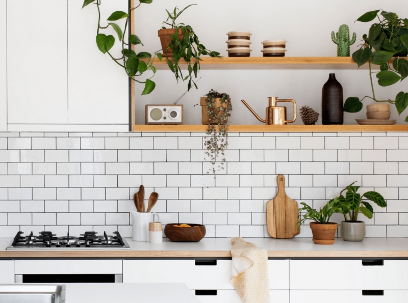 Зеленый оазис на кухне: топ идей кухонных растений и их преимущества