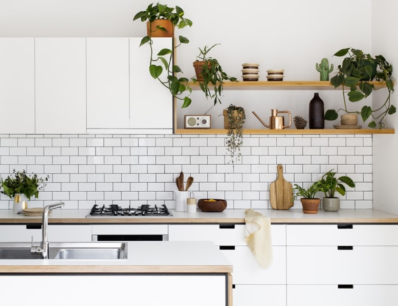 Зеленый оазис на кухне: топ идей кухонных растений и их преимущества