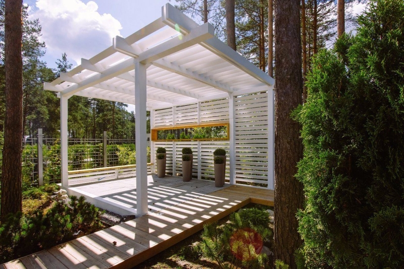 Красивые идеи для пергол