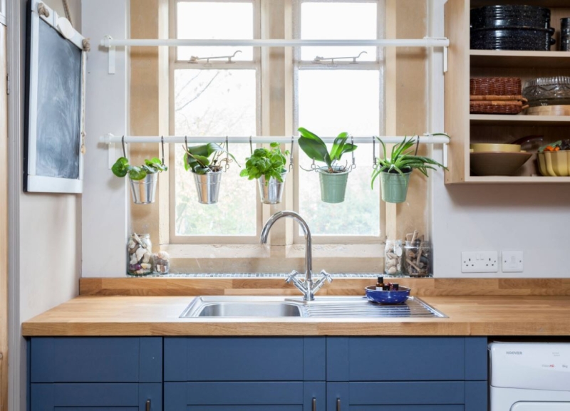 Какую зелень можно вырастить на подоконнике зимой?