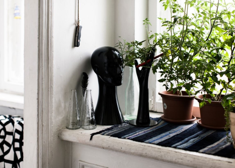 Какую зелень можно вырастить на подоконнике зимой?